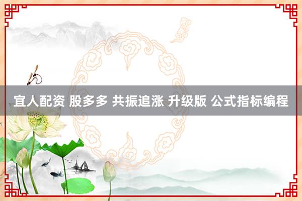 宜人配资 股多多 共振追涨 升级版 公式指标编程