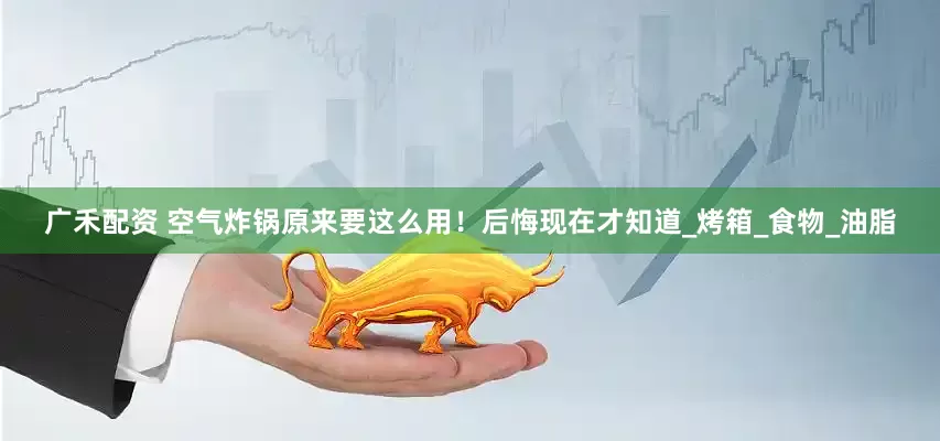 广禾配资 空气炸锅原来要这么用！后悔现在才知道_烤箱_食物_油脂