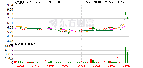 鸿泰利创 天汽模：2024年年度股东大会决议公告