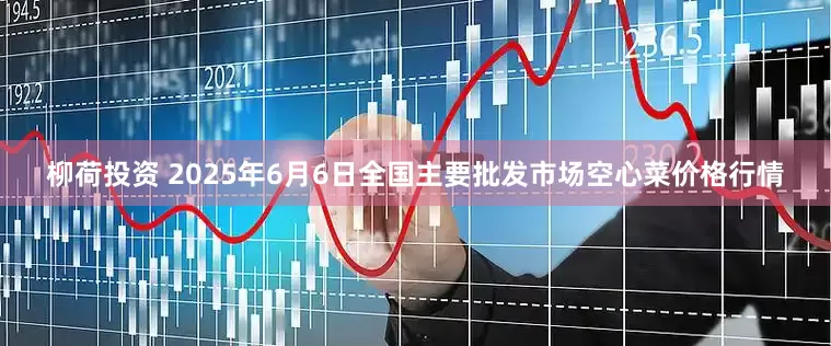 柳荷投资 2025年6月6日全国主要批发市场空心菜价格行情